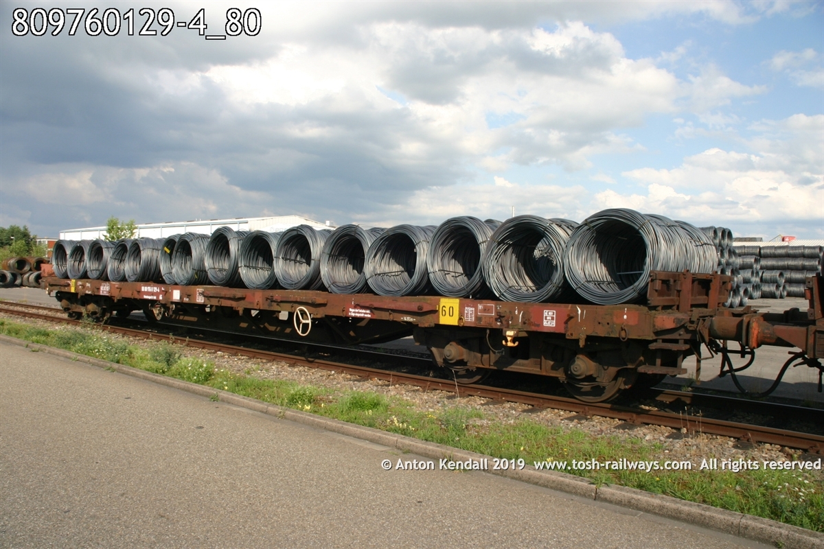 809760129-4_80.jpg